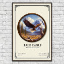 Zoek naar zoölogisch posters Vogel