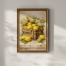 Zoek naar krat posters Vintage