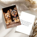 Zoek naar yorkies kaarten Puppy