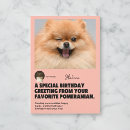 Zoek naar pomeranian hond kaarten Elk persoon