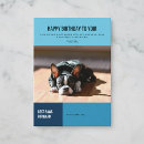 Zoek naar boston terrier kaarten Elk persoon