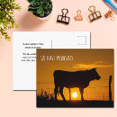 Zoek naar boerderijen briefkaarten Grappig