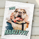 Zoek naar puppy dekens Creëer je eigen
