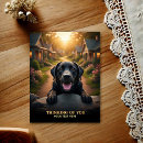 Zoek naar gelukkig labrador briefkaarten Hond