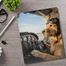 Zoek naar vliegen puzzels Voor hem