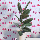 Zoek naar kers kunst Fruit