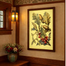 Zoek naar hulst posters Vintage