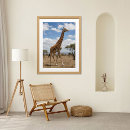 Zoek naar afrikaanse dieren posters Afrika wildlife
