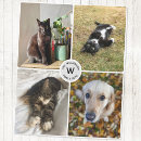 Zoek naar puppy dekens Leuk