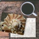 Zoek naar het schrijven briefkaarten Vriend