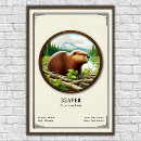 Zoek naar bever dier posters Dieren in het wild