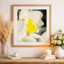 Zoek naar narcisse posters Elk persoon