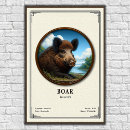 Zoek naar wild varken posters Everzwijn