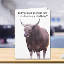 Zoek naar grappige stier kaarten Humor
