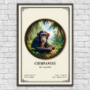 Zoek naar chimpansee posters Primaat