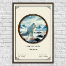 Zoek naar vos in sneeuw posters Arctisch