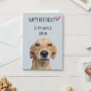 Zoek naar mens kaarten Hond