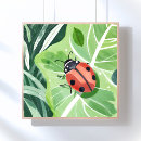 Zoek naar lieveheersbeestje posters Natuur