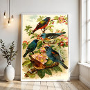 Zoek naar zoölogisch posters Natuur