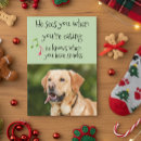 Zoek naar snack kaarten Hond
