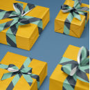 Zoek naar strepen lint Blauw