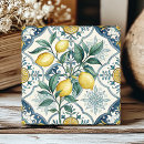 Zoek naar azulejos tegels Talavera