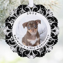 Zoek naar zwarte hond ornamenten Huisdier