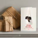 Zoek naar daschund kaarten Doxie