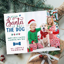Zoek naar santa dog briefkaarten Huisdier