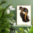 Zoek naar vogelafbeeldingen posters Vogels