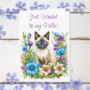 Zoek naar siamese cat kaarten Naam
