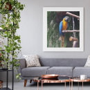 Zoek naar papegaai foto posters Vogels