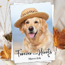 Zoek naar forever in our hearts kaarten Voor iedereen