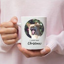 Zoek naar hondenliefhebber drinkwaren Voor huisdieren