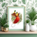 Zoek naar kolibrie posters Vintage