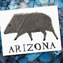 Zoek naar natuur briefkaarten arizona