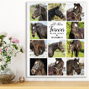 Zoek naar pet memorial posters Elk persoon