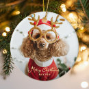 Zoek naar naughty ornamenten Huisdier