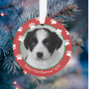 Zoek naar christmas dog ornamenten Elk persoon