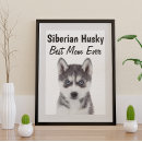Zoek naar siberian husky kunst Gezelschapsdieren