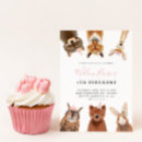 Zoek naar owls uitnodigingen Verjaardagsfeest