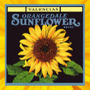 Zoek naar vintage sunflower posters Bloemen