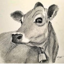 Zoek naar koe afbeeldingen posters Voor iedereen