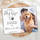 Zoek naar funny engagement uitnodigingen Verloving