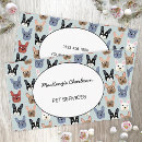 Zoek naar pet visitekaartjes Dierenarts