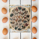 Zoek naar kippen puzzels Pluimvee