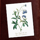 Zoek naar vintage botanisch briefkaarten Klassiek