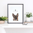 Zoek naar duitse herdershond posters Honden