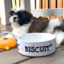 Zoek naar honden bandanas Hart