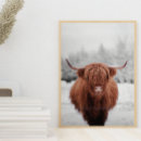 Zoek naar schotland posters Huisje